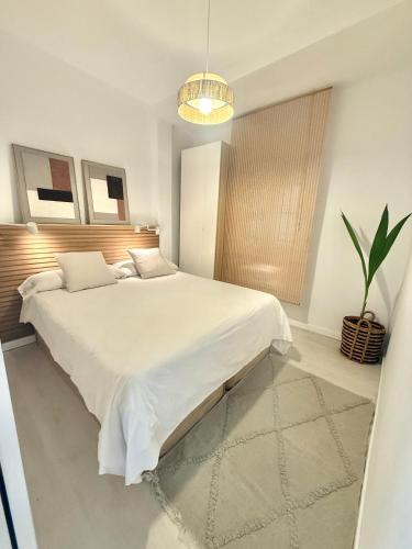 Penthouse Center Seville