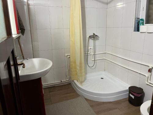 a bathroom with a shower and a toilet and a sink at Căsuța din Pădure in Colibiţa