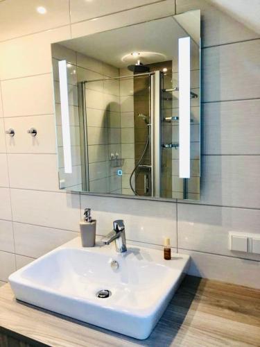 a bathroom with a white sink and a mirror at Waldstück in Hasselfelde