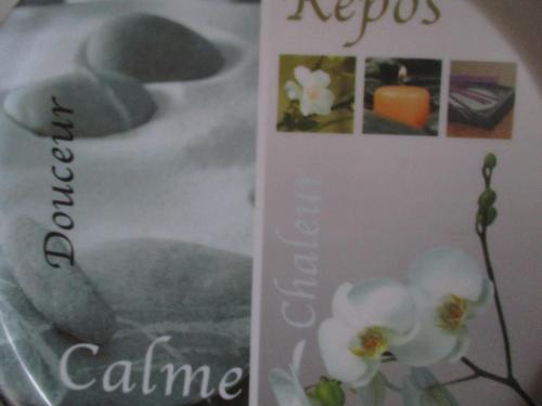 Photo de la galerie de l'établissement RONCE ,VUE mer au bout de l'allée !, à Ronce-les-Bains