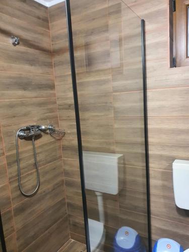 a shower with a glass door next to a toilet at Popas Turistic Padis in Padis