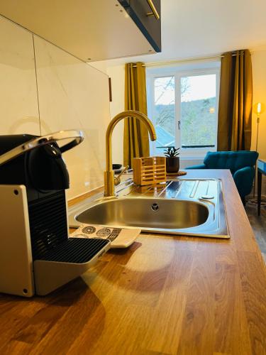 une cuisine avec un évier et un ordinateur portable sur une table dans l'établissement Beau studio proche des Halles, à Crémieu