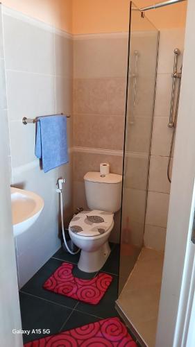 a bathroom with a toilet and a sink and a shower at Beach Villa am Praia de Chaves, Boa Vista, Cabo Verde in Boa Ventura
