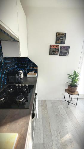 a kitchen with a black counter top and a plant at PRADA Apartament Konin in Konin