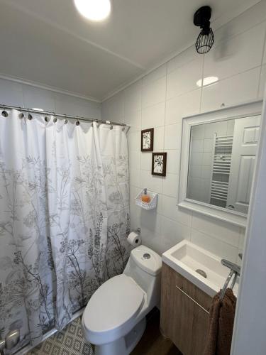 a bathroom with a toilet and a shower curtain at Departamento Pinela in Punta Arenas