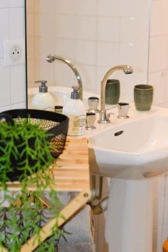La salle de bains est pourvue d'un lavabo, d'un miroir et d'une plante. dans l'établissement Le Logis de Céline, à Cajarc
