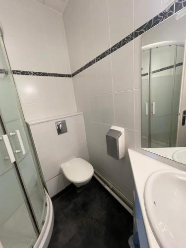 a white bathroom with a toilet and a sink at Hôtel du Commerce in Semur-en-Auxois