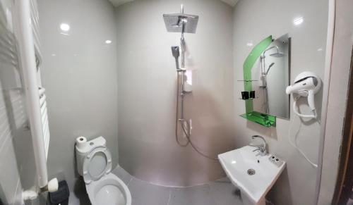 a bathroom with a shower and a toilet and a sink at Cottage in Bakuriani