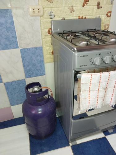 a kitchen with a stove and a vase next to it at Depart 3 camas in Moyobamba