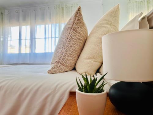 Cozy- 100m from the Beach with Pool & Perfect for2