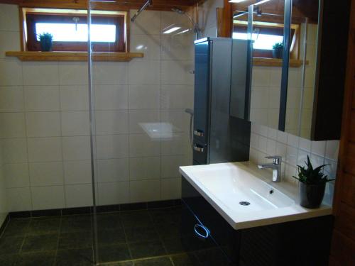 BoekelにあるChalet De Voetpompのバスルーム(洗面台、ガラス張りのシャワー付)