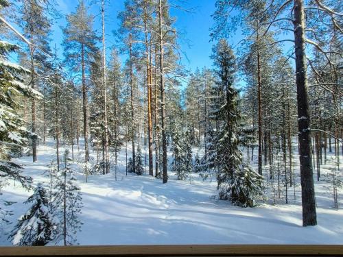 a snow covered forest with trees and snow covered ground at Villa Naukkari in Syöte