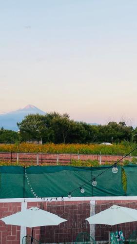 a tennis court with two white umbrellas on it at Heated pool, Casa Senda del Son-Cuautla in Los Limones