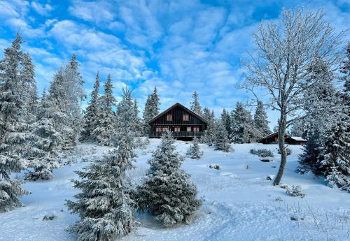 a cabin in a snowy forest with snow covered trees at Original Olympic cabin ski in out Hafjell in Hunder