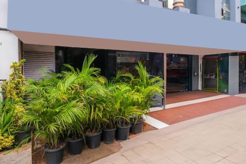 a group of potted plants in front of a building at Super Hotel O Gurudwara Near RTC Complex in Visakhapatnam