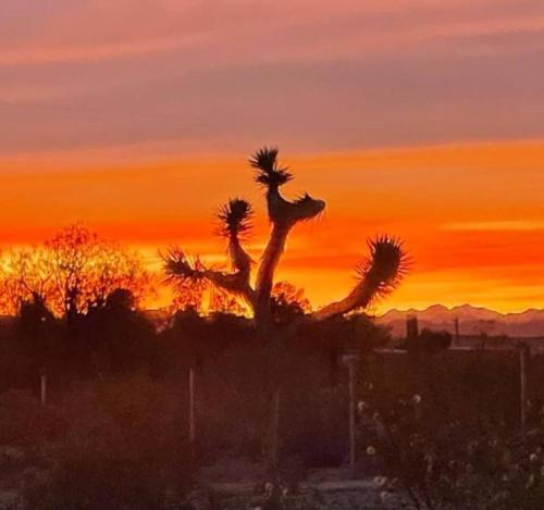 a sunset with a palm tree in the foreground at Number 1 Joshua Tree Escape-Heated Pool in Landers