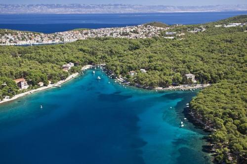 een luchtzicht op een strand met bomen en blauw water bij Apartment Giuseppe in Mali Lošinj