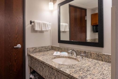 Drury Plaza Hotel Broadview Wichitaにあるバスルーム
