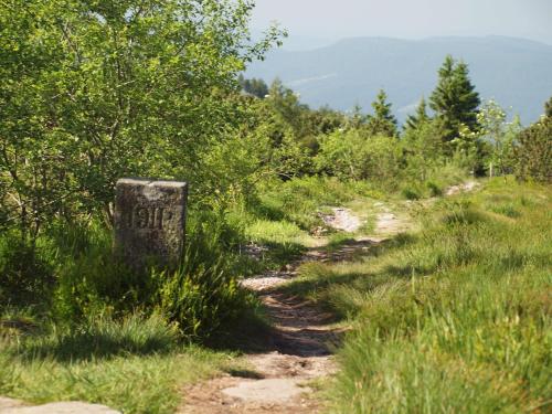 a trail in the grass with a sign on it at Wellness-& Nationapark Hotel Schliffkopf, BWSC in Baiersbronn