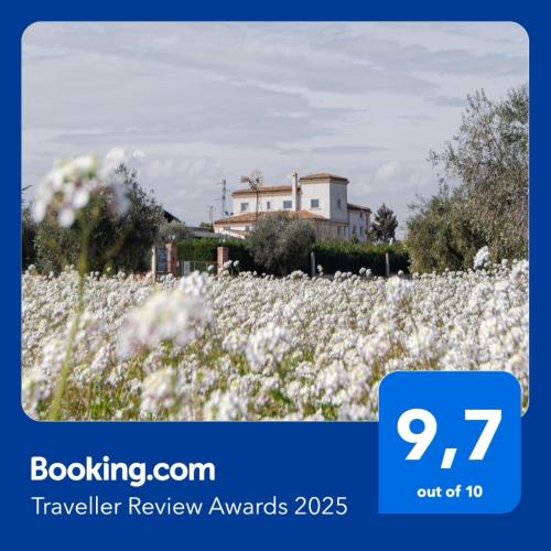a field of white flowers with a house in the background at Moliké country house in Giulianova