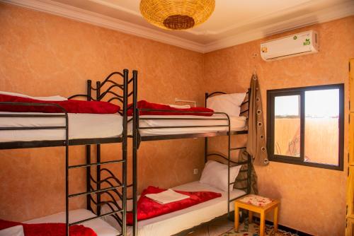 ワルザザートにあるAfgo Hostelの二段ベッド4台、窓が備わる客室です。