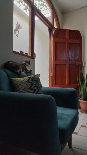 a cat sitting on a couch in a living room at JUMANA in Nazca