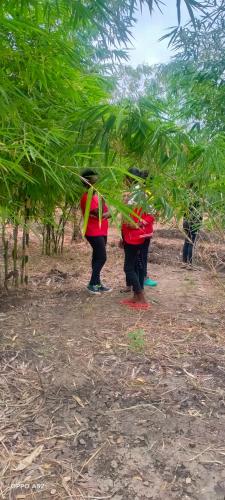 two people are working on a tree plantation at Mwea Farmstay -CampSite and Nature Trail in Karaba