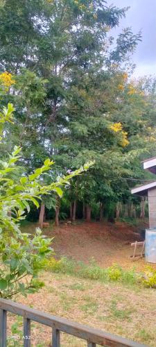 a group of trees in a yard with a fence at Mwea Farmstay -CampSite and Nature Trail in Karaba