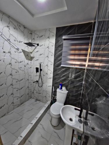 a bathroom with a toilet and a sink at Cozy Ambience 2 in Ibadan