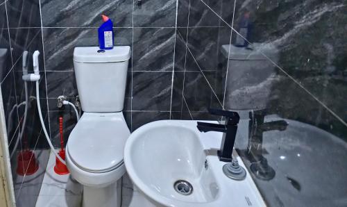 a bathroom with a toilet and a sink and a tub at Cozy Ambience 2 in Ibadan