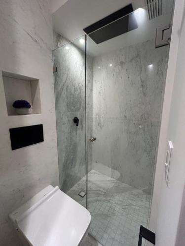 a bathroom with a glass shower with a toilet at Increíbles departamentos en Roma Norte in Mexico City