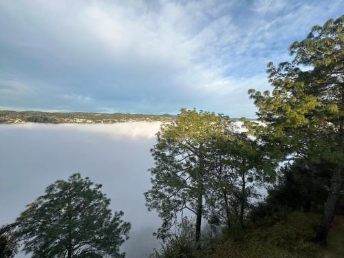 Blick auf einen See mit Bäumen im Vordergrund in der Unterkunft Casa Madera 2A in Zacatlán
