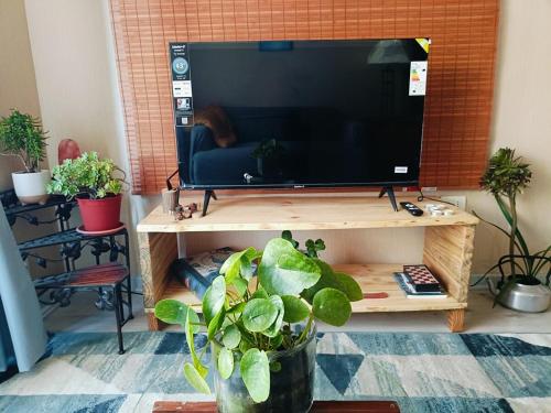 a television on a wooden stand with a potted plant at Departamento a pasos de la ruta 160 in San Pedro de la Paz