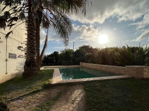 a swimming pool in a yard with a palm tree at Spacious 3BDR house in Chivilcoy with swimming pool and view in Chivilcoy