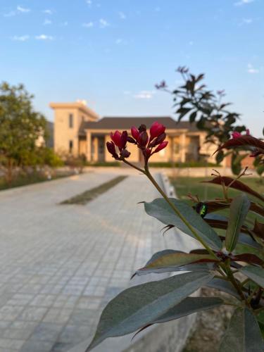 Un jardín fuera de Haven farmstays