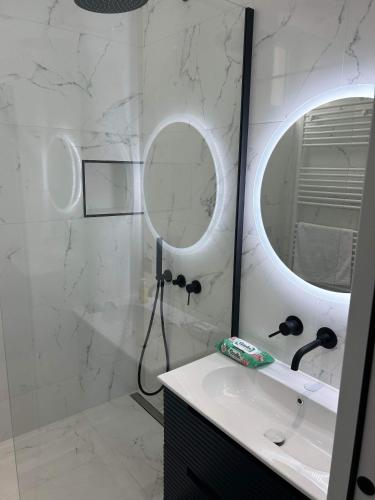 une salle de bain avec une douche, un lavabo et un miroir dans l'établissement Splendid appartement, à Rouen
