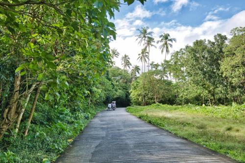 a path through a jungle with palm trees and a motorcycle on it at Kalikasan Glamping Resort near Manila with Overlooking Pool and Starlink in Calauan