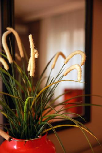 a red vase with a plant in front of a mirror at Akin Suites in Istanbul