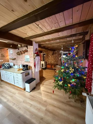 Un arbre de Noël dans la cuisine d'une maison dans l'établissement Gîte Bien-être, Sauna, Bain nordique à Soucht (57), à Soucht