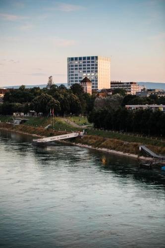 a view of a river with a city in the background at BC Apart 1 - Charming Apartment in City Center - Close to Rhine and Old Town in Basel