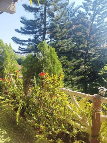 Κήπος έξω από το Monpimarn Homestay