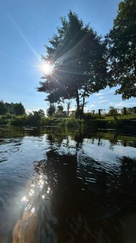 a tree and a lake with the sun in the sky at Chata Białobrzeg in Białobrzeg Dalszy
