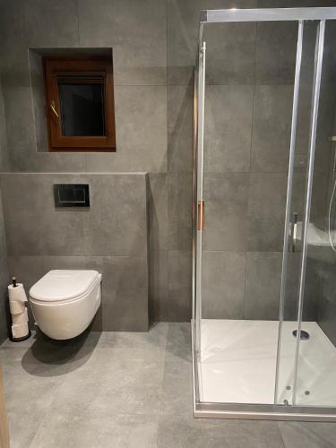 a bathroom with a toilet and a shower at Apartmán Maya in Horní Planá