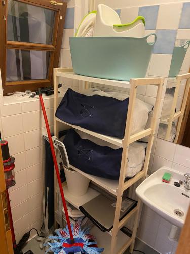 a bathroom with a mop and a sink at Apartmán Maya in Horní Planá