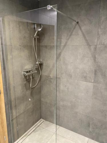 a shower stall with a glass door in a bathroom at Apartmán Maya in Horní Planá