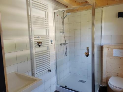 a bathroom with a shower and a toilet at La Ferme du Praz in Les Contamines-Montjoie