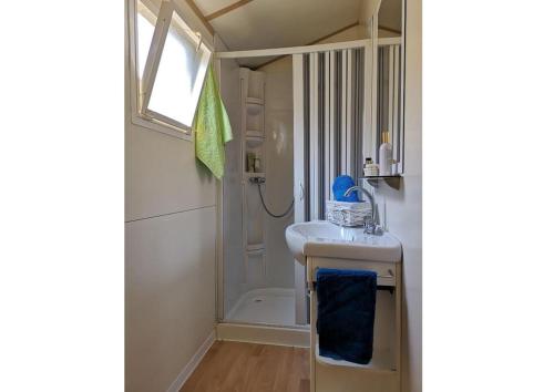 une petite salle de bain avec un lavabo et une douche dans l'établissement Feriendorf Le Tamerici Mobilehome Gorgona für 5 Personen, à Marina di Cecina