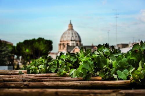 a pile of green plants in front of a building at Hotel Il Cantico St. Peter in Rome