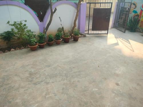 a row of potted plants sitting next to a building at Kumbh Kutumb stayhome in Prayagraj