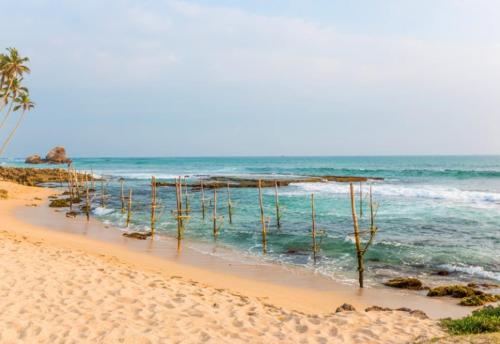 a beach with trees sticking out of the water at Sun Rusiru villa in Koggala